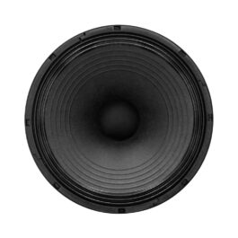 BEYMA 15" 700WATT LOOSE SPK